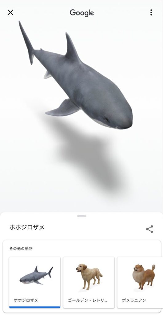 google検索 3D サメ